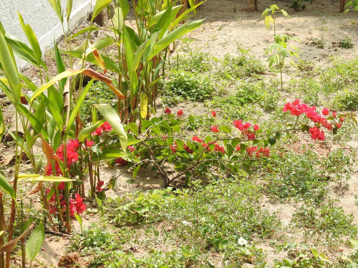 Alleppey Beach Garden Alappuzha Exterior foto