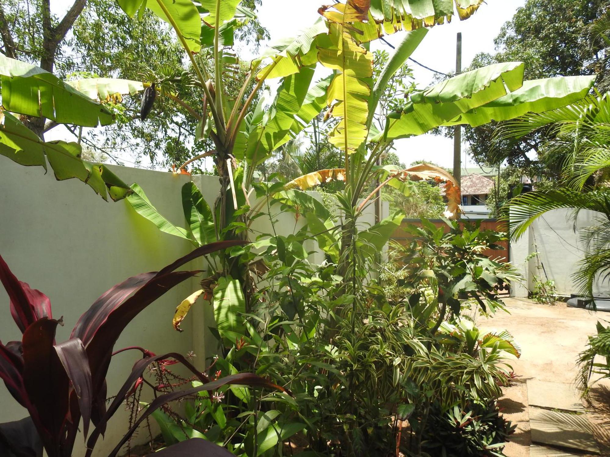 Alleppey Beach Garden Alappuzha Exterior foto